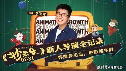 黄色电影国产,揭秘黄色电影背后的国产传奇